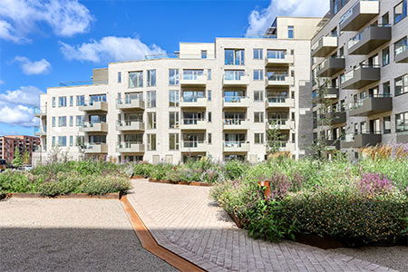 South harbor1