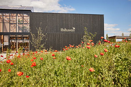 ibihaven